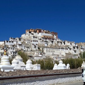 Ladakh women only tour with F5 Escapes - A stunning view of the historic Leh Palace towering over the town.