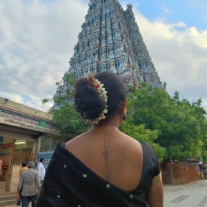 Madurai & Tanjore women group tour with F5 Escapes - A close-up view of the intricate sculptures on a Meenakshi Temple tower.
