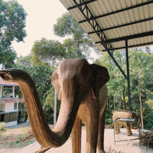 Mudumalai women group tour with F5 Escapes - Life-size elephant sculptures made from Lantana weed in Mudumalai.