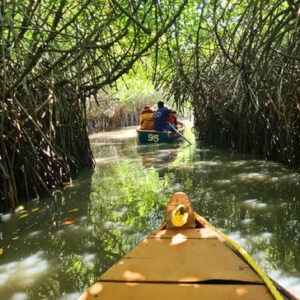 Pondicherry & Mahabalipuram women only group trip with F5 Escapes - A scenic view of the expansive Pichavaram mangrove forest near Pondicherry.