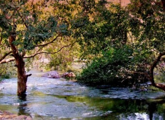 Lush green South Rajasthan!