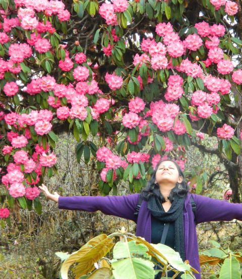 Why The Concept Of ‘Women Travel’?