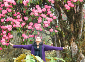 Why The Concept Of ‘Women Travel’?