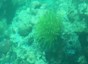 Andaman Islands – Beach fix!