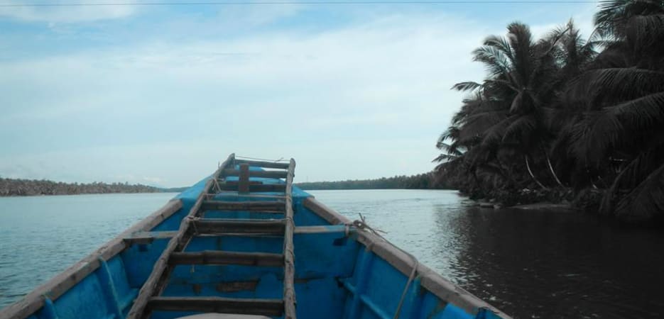 Front view of a blue wooden boat on a calm tropical river with palm trees.
